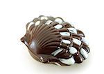 Chocolate seashell