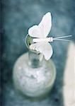 Fake butterfly on top of vase