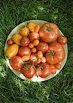 Assortment of tomatoes in bowl, on grass, high angle view