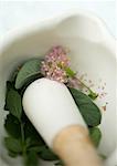 Mortar and pestle with herb leaves and flowers