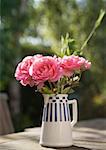 Peonies in vase