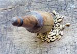 Cardamom seeds and pestle