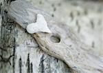 Heart shaped stone on wood background