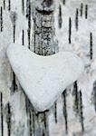 Heart-shaped stone on bark