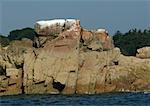 Ile de Brehat, Brittany, France, coastal rock face