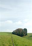 Switzerland, rural landscape