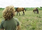 Boy looking at horses in field