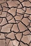 Cracked Mud at Low Tide, Bay of Fundy, Nova Scotia, Canada