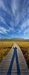 Shadow of Photographer on Boardwalk, Western Brook Pond, Gros Morne National Park, Canada