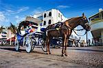 Horse-Drawn Carriage, Cozumel, Mexico