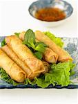 Spring Rolls