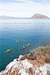 Kajak in der Sea of Cortez, Baja, Mexiko