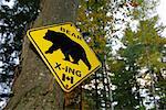 Bear Crossing Sign, Algonquin Provincial Park, Ontario, Canada