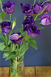 Violette Blumen in einer vase