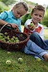 Little girl and boy with a basket of limes, selective focus