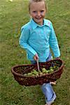 Little girl holding a basket with apples in her hand, high angle view