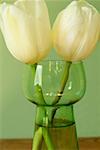White tulips in a vase