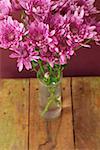 Pink chrysanthemums