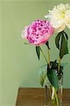 Peonies in a vase