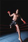 Mixed Martial Arts Fighter Kicking