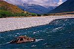 Vieille voiture en rivière, Arthur Pass, New Zealand