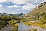 Creek durch Berge, Livingston Range, Rocky Mountains, Alberta, Kanada