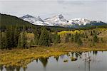 Übersicht über Beaver Pond und Berge, Kananaskis Country, Alberta, Kanada