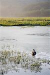 Man Fly Fishing, Cairns Pool, Beaverkill River, Catskill Park, New