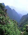 High angle view tree-covered mountains