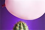 Nahaufnahme einer Sprechblase oben ein Kaktus Pflanze