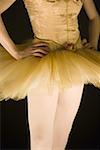 Mid section view of a ballerina in tutu standing with arms akimbo