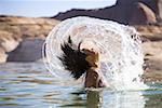 Jeune femme en jetant ses cheveux mouillés dans un lac