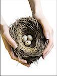 High angle view of a woman's hand holding a bird's nest