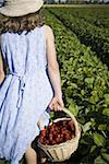 Rear view of a girl carrying a basket of strawberries on a field