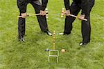 Two businessmen playing croquet