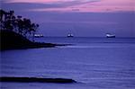 View of a coastline and distant ships at dusk