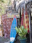 Surfboard against a tree