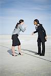 Profile of two businesswomen arguing