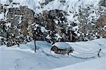 High angle view of a cabin in the snow