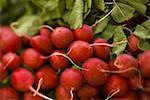 High angle view of radishes