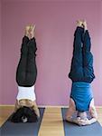 Ein Mann und eine Frau tun Yoga headstands