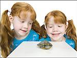 Close-up of two girls looking at a tortoise