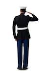Rear view of a navy officer saluting