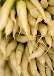 Close-up of a pile of white radishes