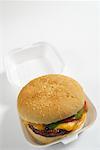 Hamburger in Styrofoam Container