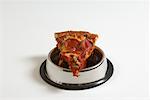 Slice of Pizza in Dog Bowl