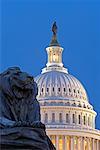 Statue de lion et le bâtiment de la capitale, Washington DC, États-Unis