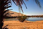 Gaberoun Oasis, Libye, Afrique