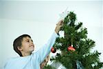 Boy putting star on top of Christmas tree