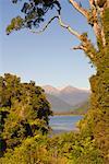 Lake Moeraki, Westland, South Island, Nouvelle-Zélande